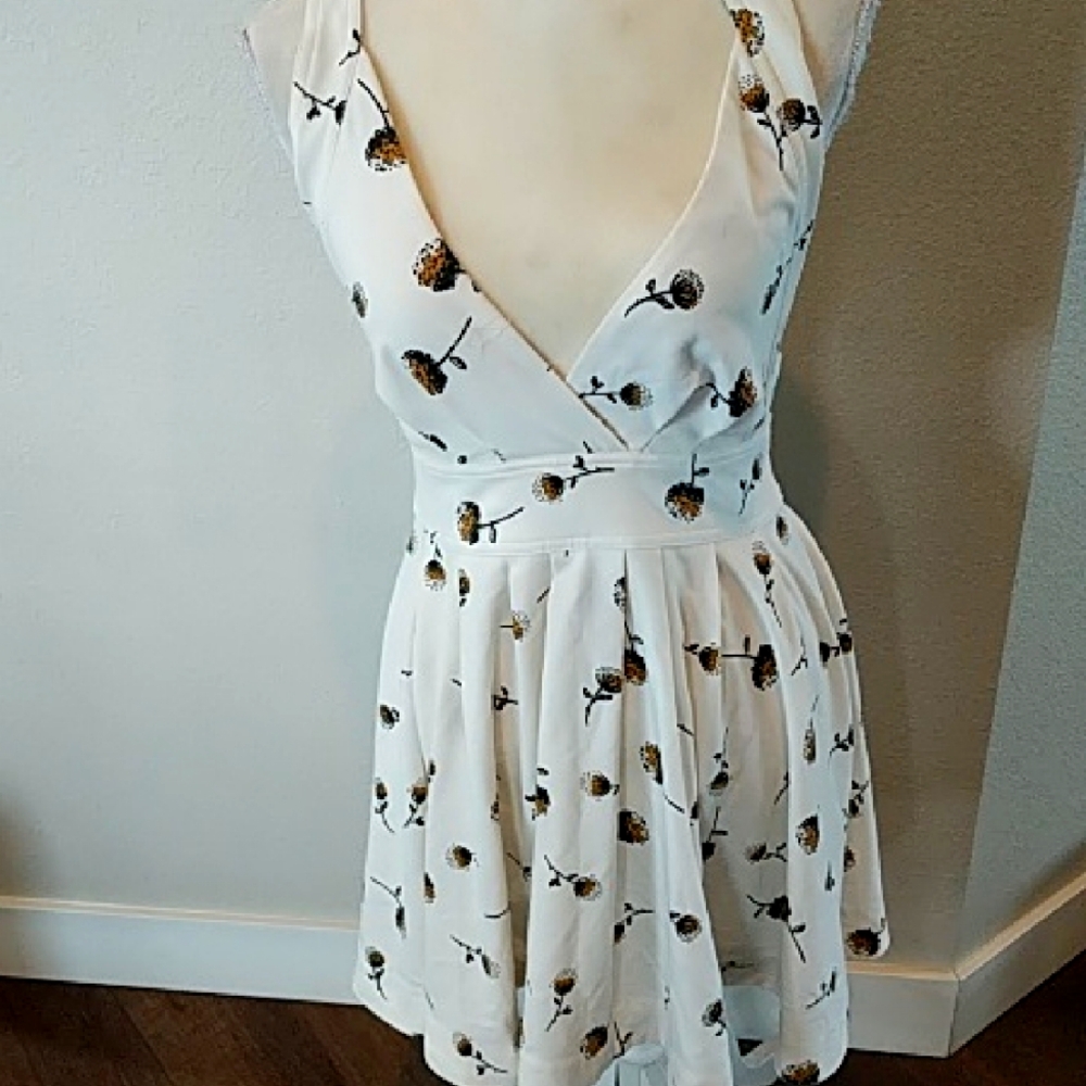 Free People Dandelion Swing  Dress Size 6